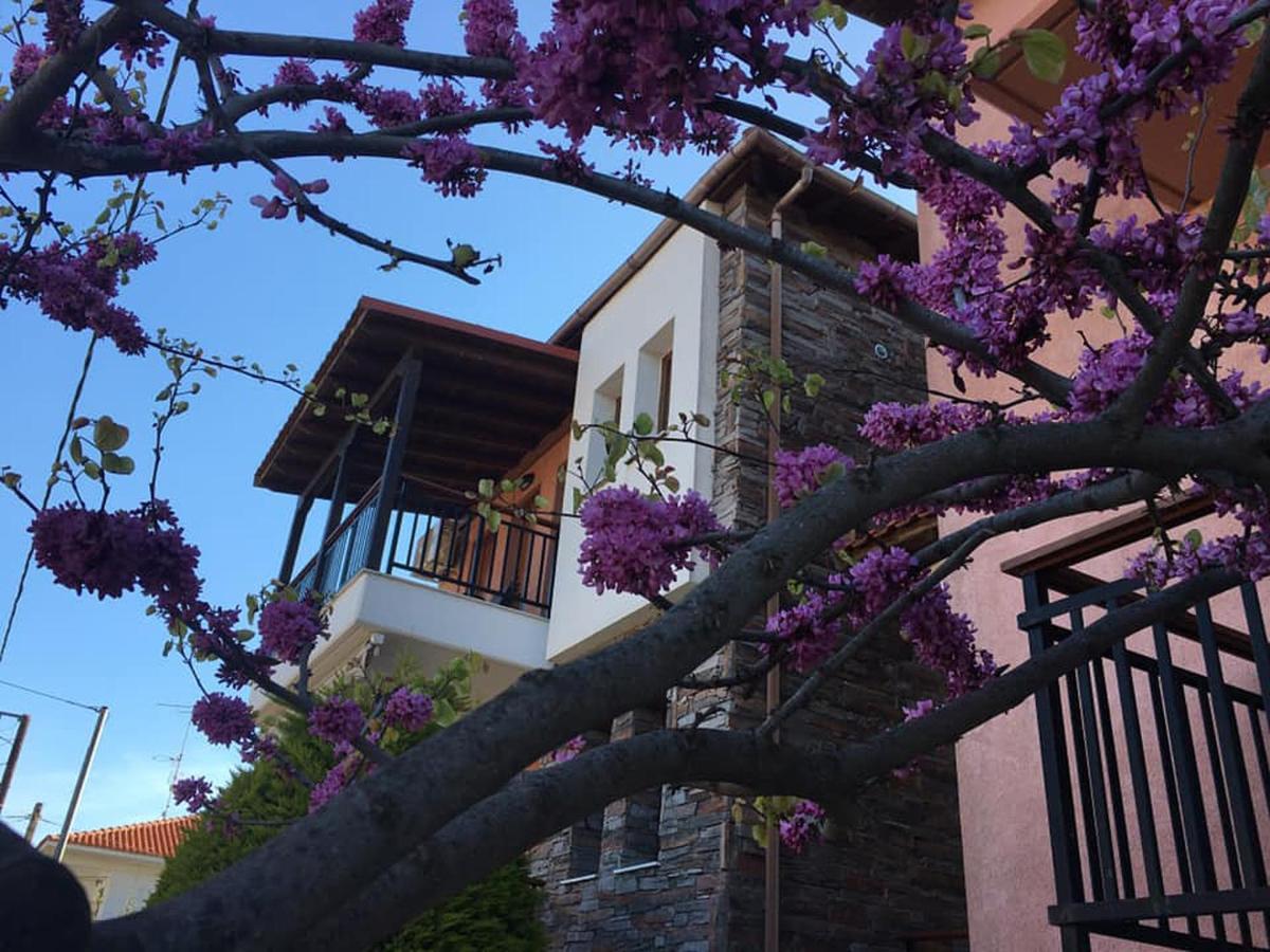 Nea Roda Apartments Exterior photo